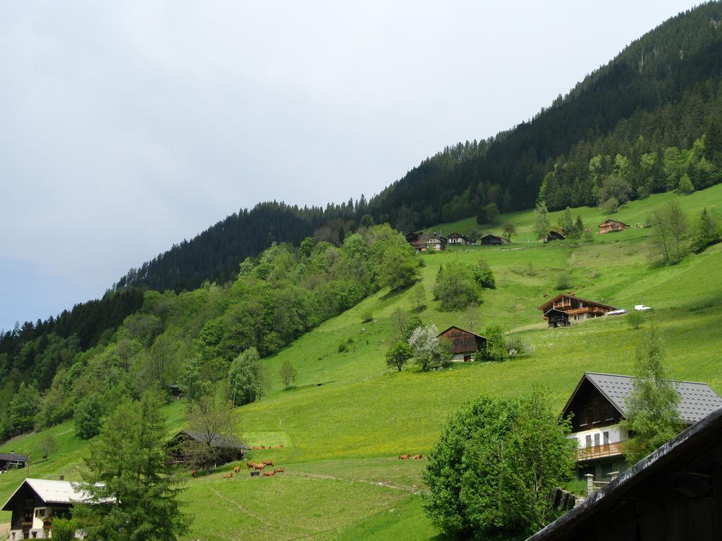 Hotel Viallet Arêches Dış mekan fotoğraf