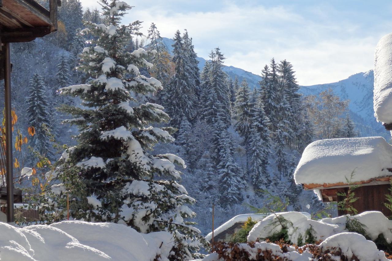 Hotel Viallet Arêches Dış mekan fotoğraf